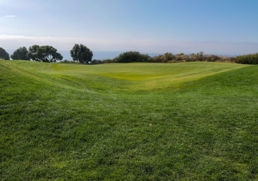 Escape to Nature: Exploring Ouzel Valley Park sidebar image